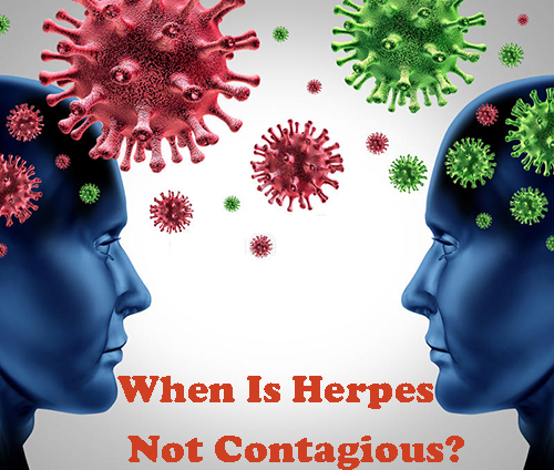 When is herpes most contagious and not contagious